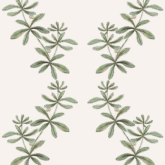Catchweed Wallcovering