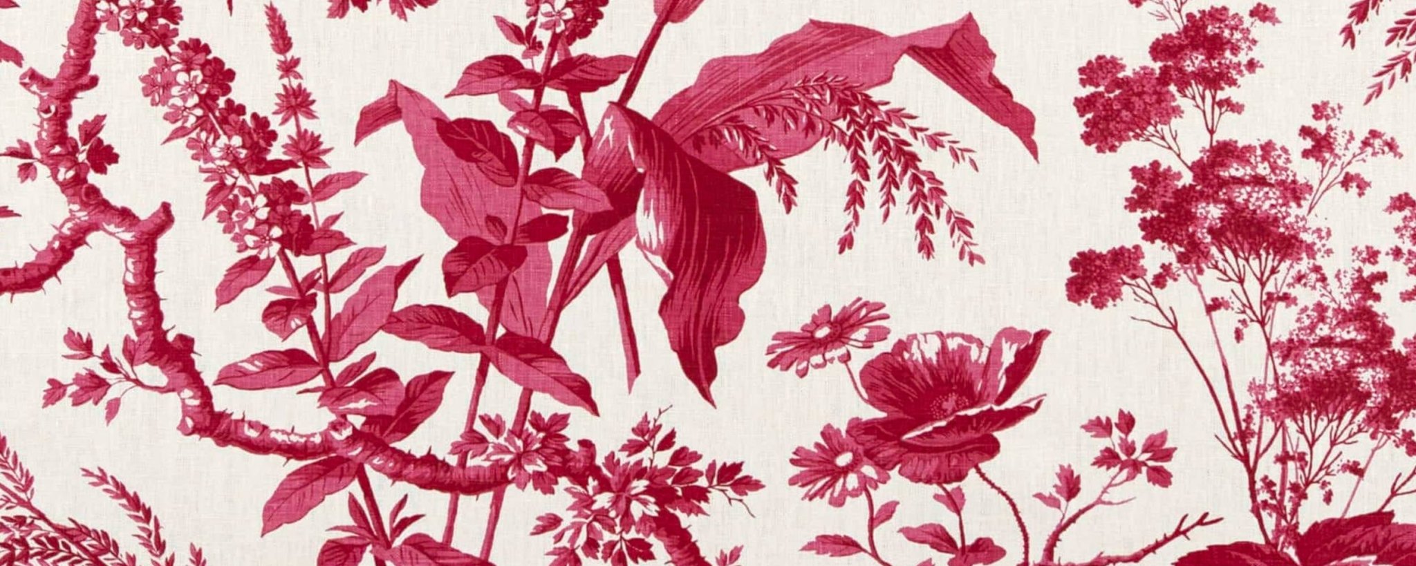 Sarah Vanrenen - CLOTH & KIND 