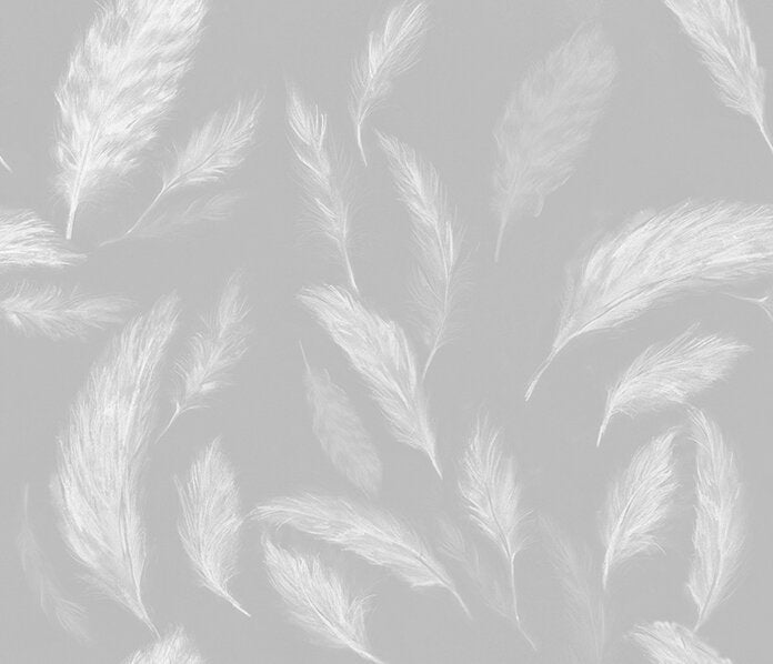 White Out Feathers Wallcovering